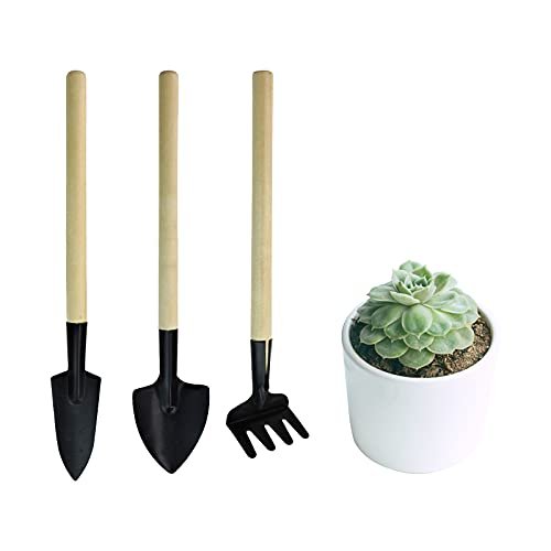 Best Gardening Tools for Aeroponic Gardening