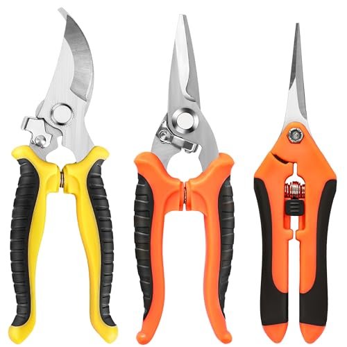 Best Gardening Tools for Deadheading