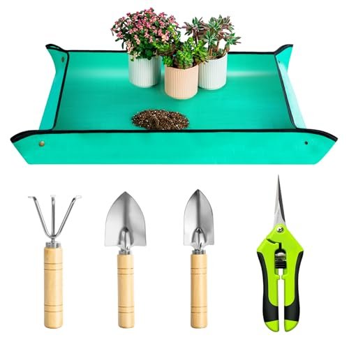 Best Gardening Tools for Drought-Resistant Plants