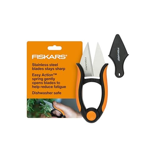 Best Gardening Tools for Herbs