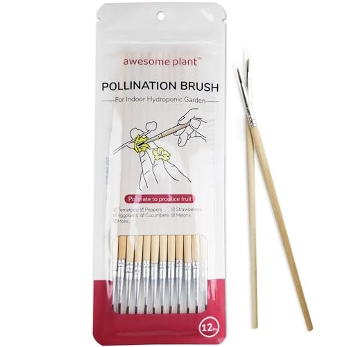 Best Gardening Tools for Hydroponic Gardening