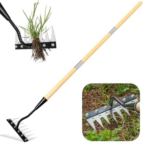 Best Gardening Tools for Lawns