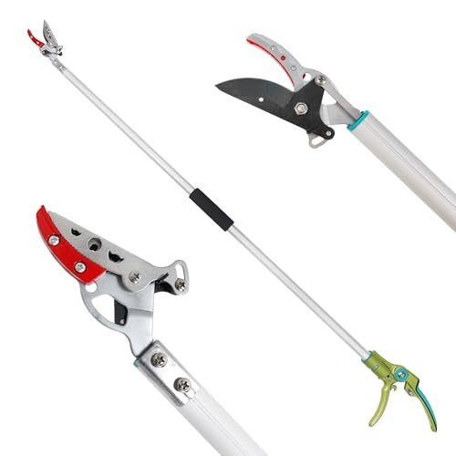 Best Gardening Tools for Pond Gardens