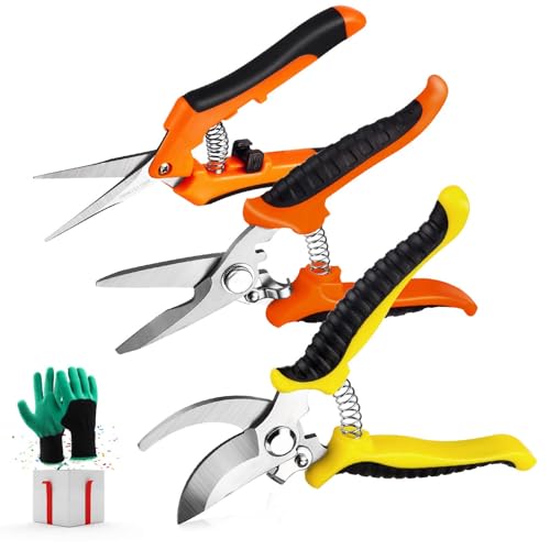 Best Gardening Tools for Roses