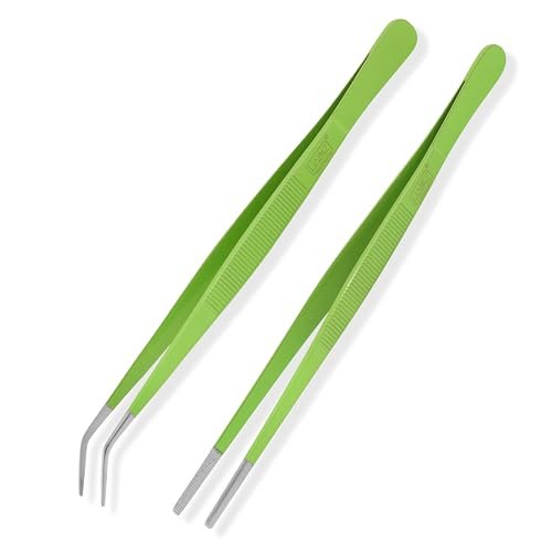 Best Gardening Tools for Succulents