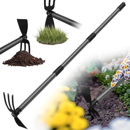 Best Gardening Tools for Xeriscaping