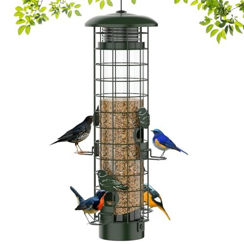 Best Outdoor Bird Feeders for Birds