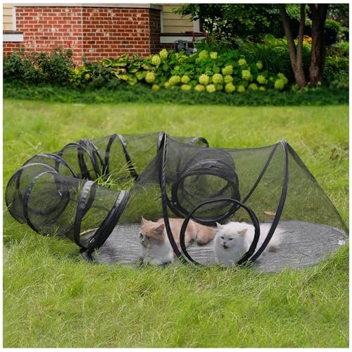 Best Outdoor Cat Enclosures for Safety