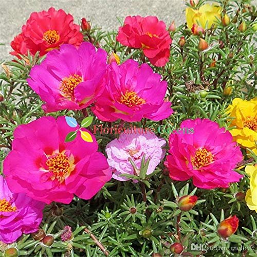 Best Outdoor Clocks for Garden