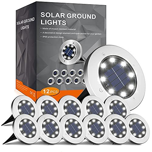 Best Outdoor Solar Lights for Garden