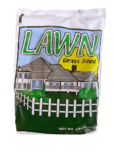 Best Overseeders for Bermuda Grass
