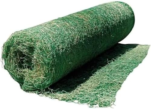 Best Overseeders for Erosion Control