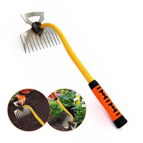 Best Overseeders for Healthy Lawns