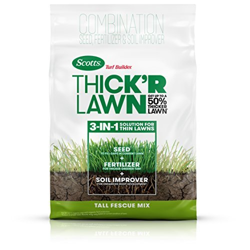 Best Overseeders for Lawn Thickening