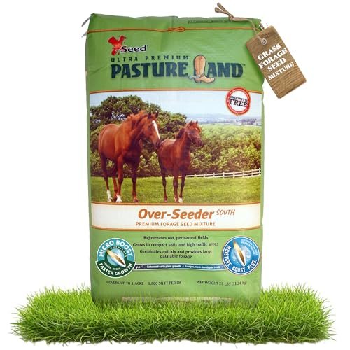 Best Overseeders for Lush Lawns
