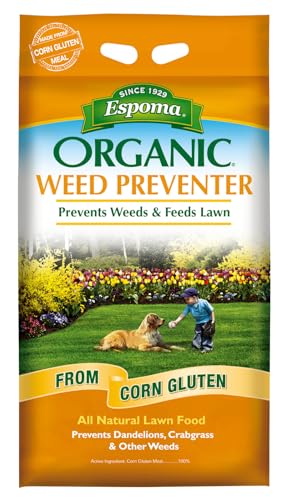 Best Overseeders for Organic Lawns