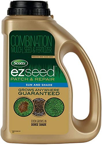 Best Overseeders for Patch Repair