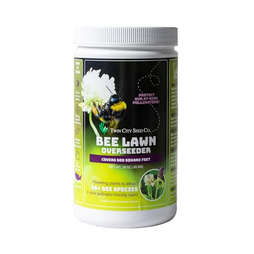 Best Overseeders for Small Lawns
