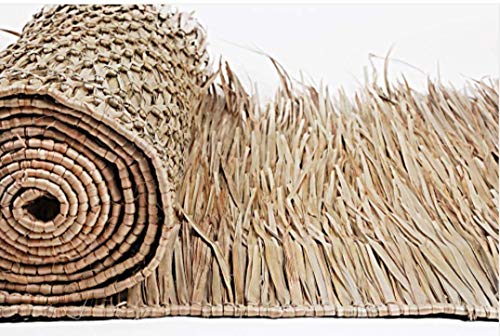 Best Overseeders for Thick Thatch