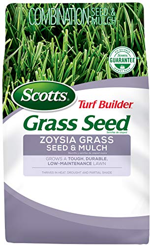 Best Overseeders for Zoysia Grass