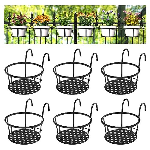 Best Plants for Balconies