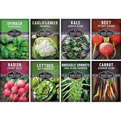 Best Plants for Fall Gardens