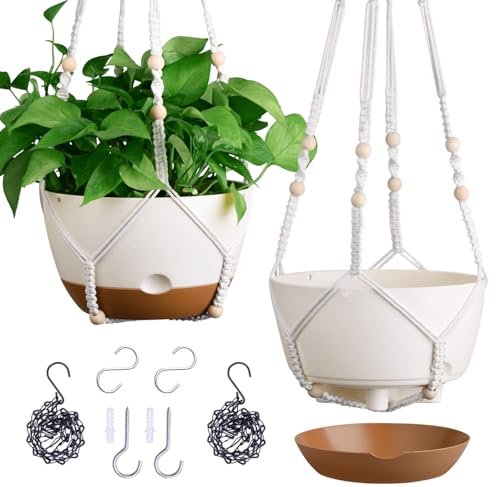 Best Plants for Hanging Planters