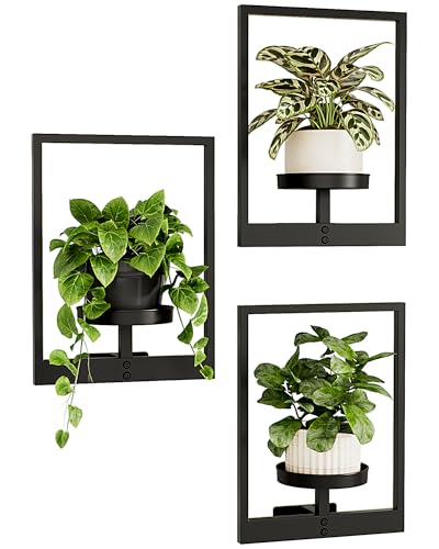 Best Plants for Living Walls