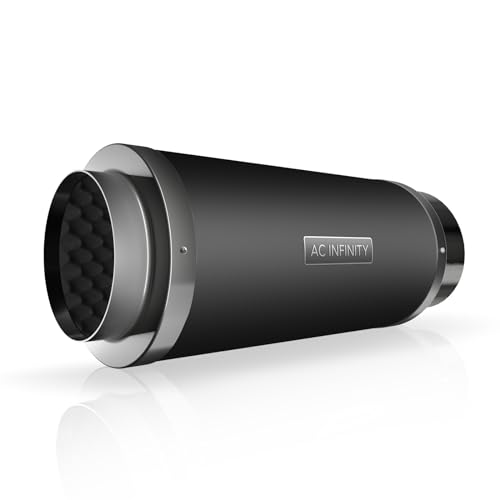 Best Plants for Noise Reduction