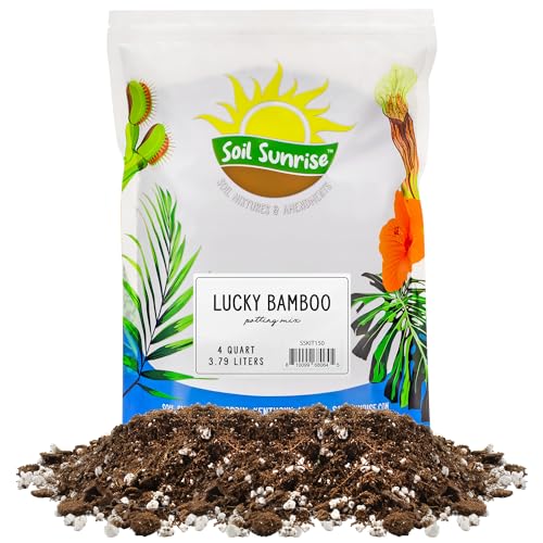 Best Potting Soil for Bamboo