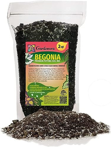 Best Potting Soil for Begonias