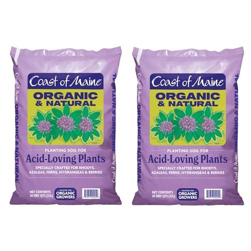 Best Potting Soil for Blueberries