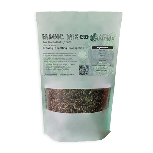 Best Potting Soil for Calathea