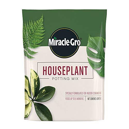 Best Potting Soil for Chives