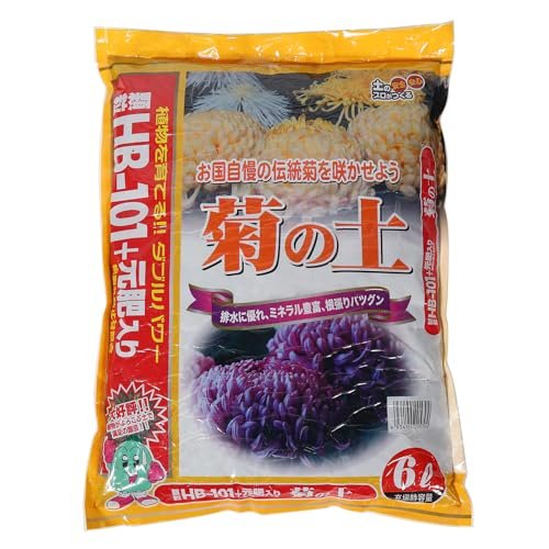 Best Potting Soil for Chrysanthemums