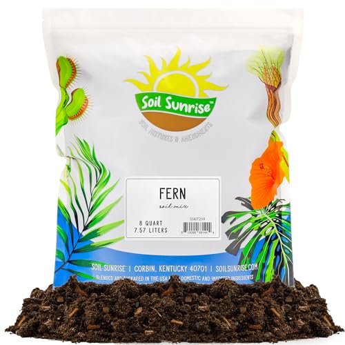 Best Potting Soil for Ferns