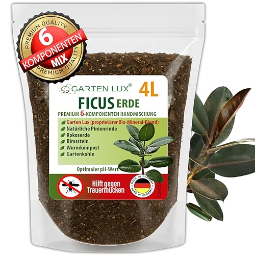Best Potting Soil for Fiddle Leaf Fig