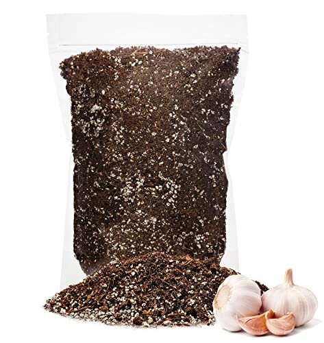 Best Potting Soil for Garlic