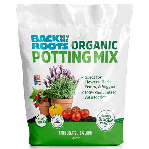 Best Potting Soil for Lettuce