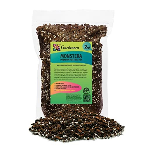 Best Potting Soil for Monstera