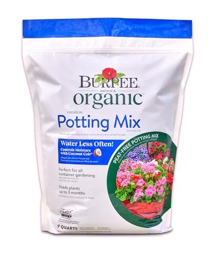 Best Potting Soil for Morning Glories