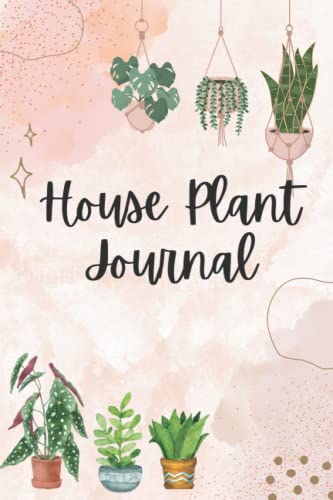 Best Potting Soil for Peace Lily