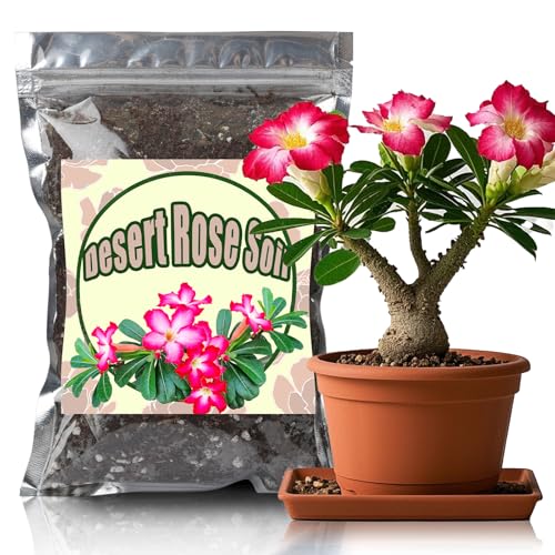 Best Potting Soil for Peonies