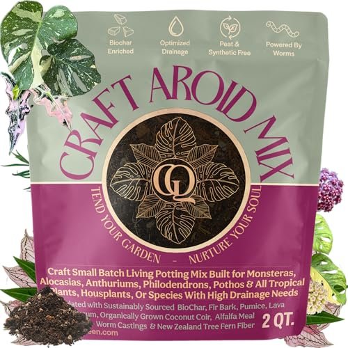 Best Potting Soil for Philodendron