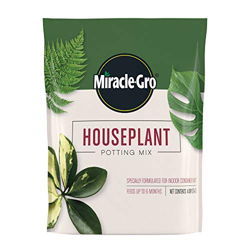 Best Potting Soil for Pothos