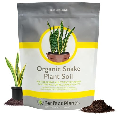 Best Potting Soil for Snake Plant