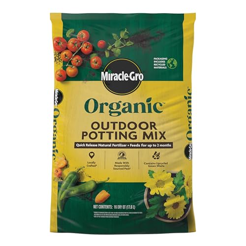 Best Potting Soil for Snapdragons