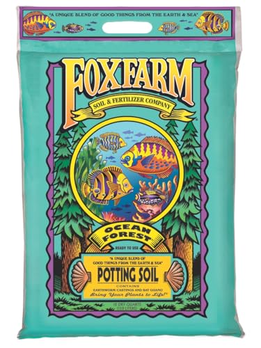 Best Potting Soil for Spinach