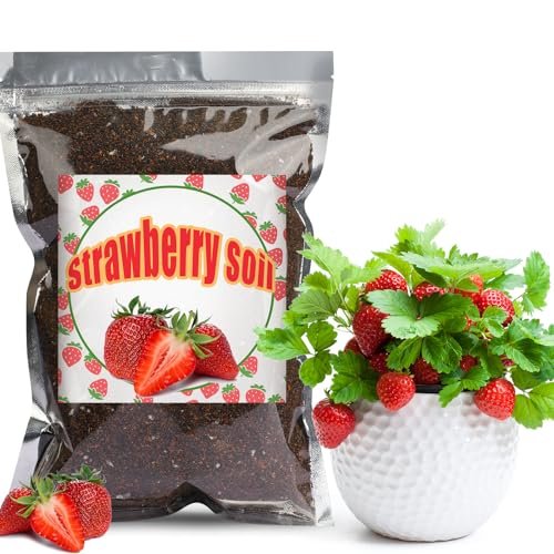 Best Potting Soil for Strawberries