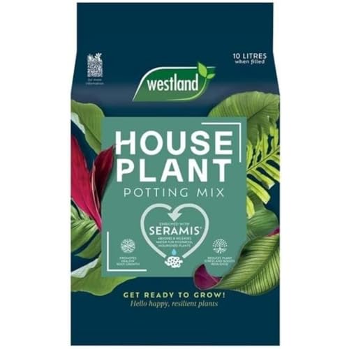 Best Potting Soil for Sunflowers